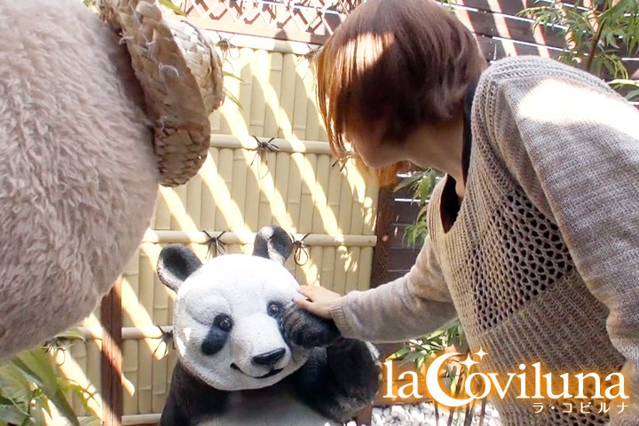 CVLN-001 第 11 部分 - 120 分钟