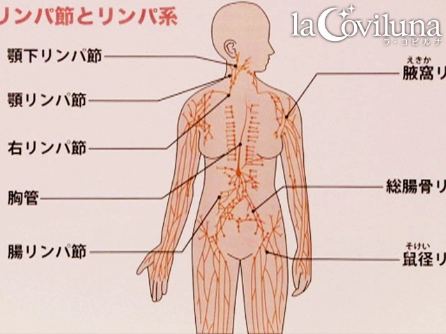 SPRT-006 Bagian 3 - 36 minit