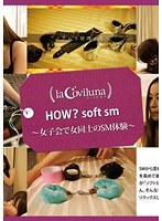 (h_708sprt00010)[SPRT-010]HOW? Soft SM - Soft SM Experience Between Girls During a Girls Night Out Download