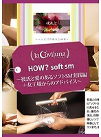 (h_708sprt00011)[SPRT-011]HOW? Soft S&M. Loving Soft S&M Practice + Advice From The Queen Download