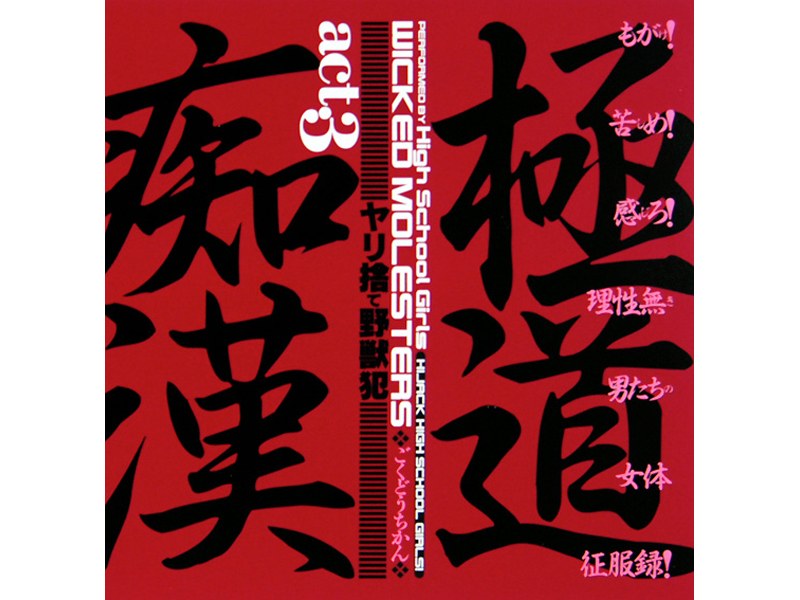 極道痴漢 act.3 ヤリ捨て野獣犯