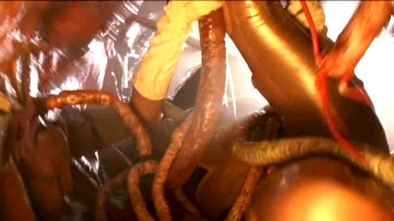 PMID-114 Part 18 - 81 minutes