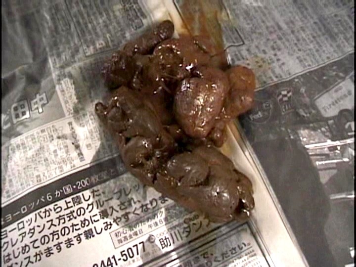 GHJ-03 パート 7 - 42 分