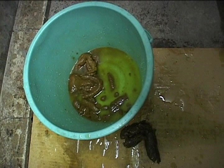 GHJ-13 パート 20 - 87 分