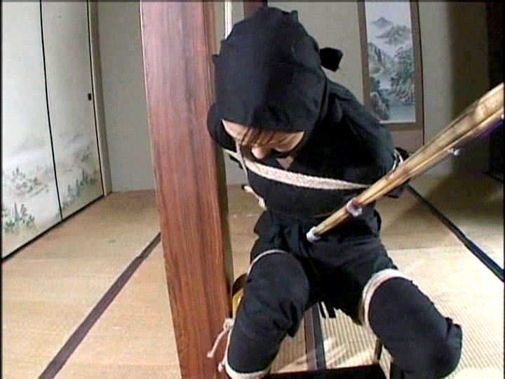 GVZ-01 パート 1 - 30 分