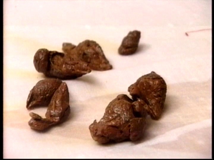 HC-02 パート 9 - 46 分