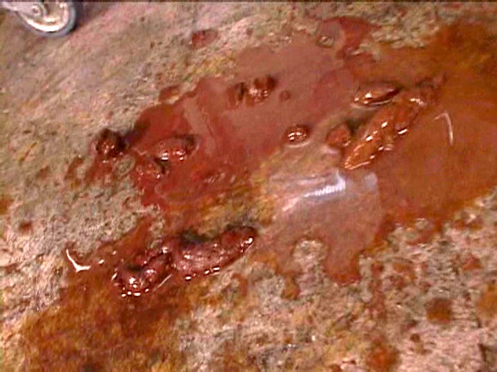 JGBD-001 Bagian 6 - 55 minit