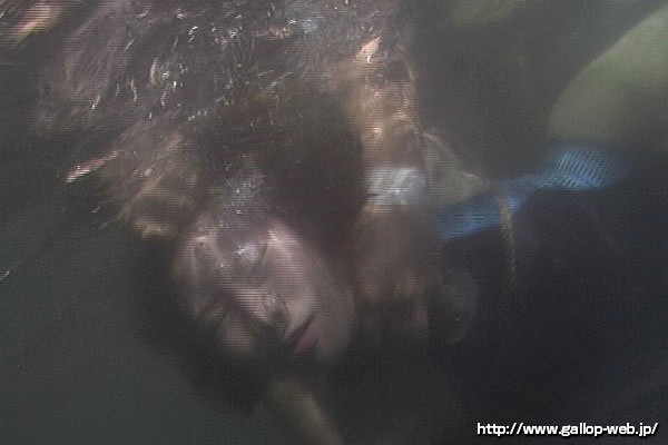 PITB-012 第 17 部分 - 126 分钟