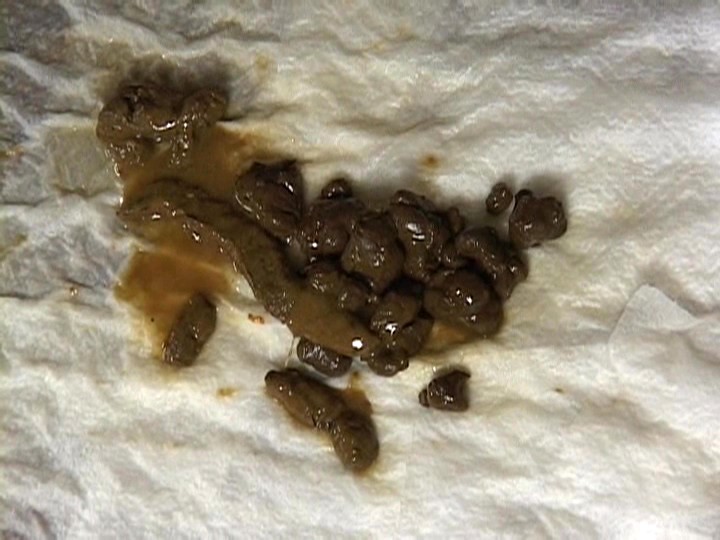 SEK-06 Bagian 5 - 50 minit