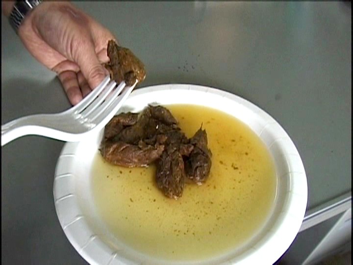 SHSG-02 Part 10 - 66 minutes