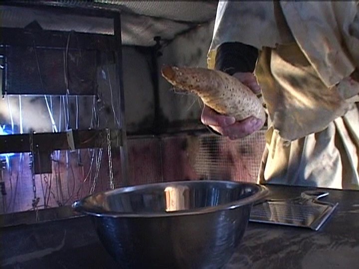 SII-002 Bagian 14 - 95 minit