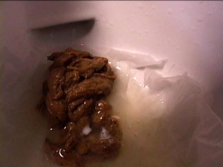 SOG-01 第 15 部分 - 72 分钟