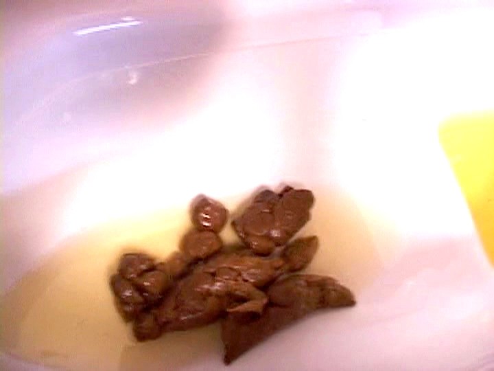 SOG-03 Bagian 8 - 58 minit