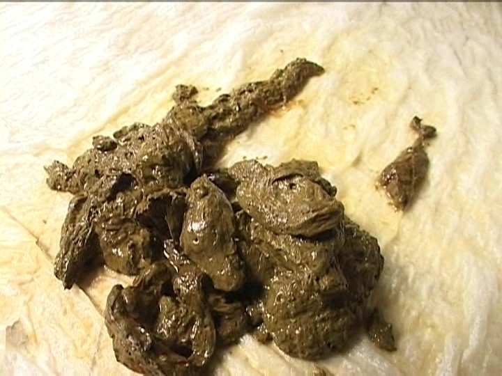 SOG-11 第 5 部分 - 38 分钟