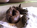 人妻うんち耽美館 1 田村のぶえ - FANZA版サンプル画像