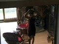 オナニーに嵌まる女たち… 画像13