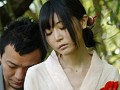 サンプル画像