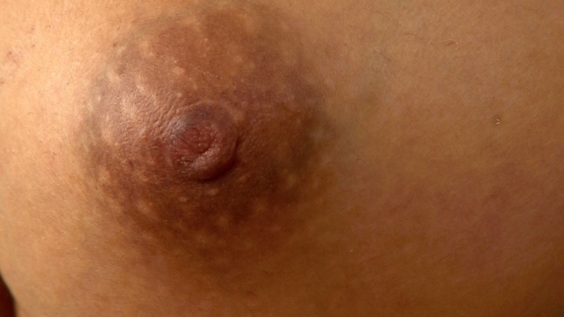 VRTM-244 Bagian 14 - 147 minit