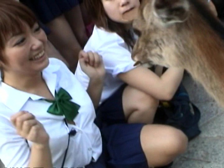 VSPDS-185 Bagian 12 - 74 minit