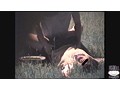 女子校生レ●プ隠撮 16 - FANZA版サンプル画像