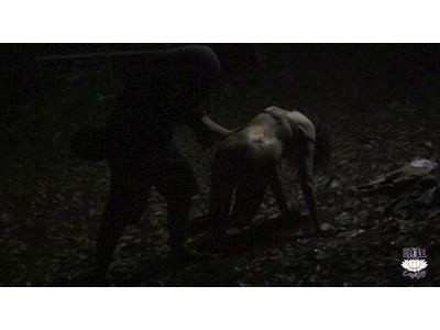 TS-015 第 6 部分 - 40 分钟