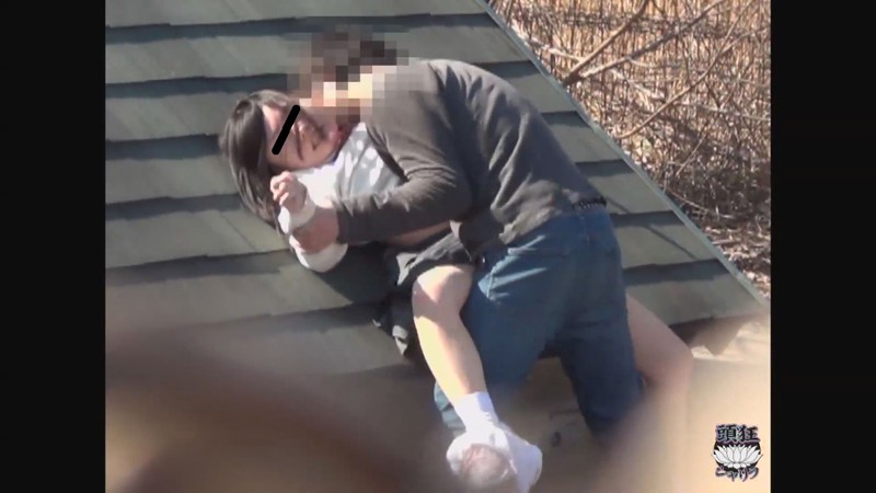 TS-020 第 5 部分 - 78 分钟