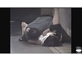 夜外隠撮 連続レ●プ事件 サンプル画像12