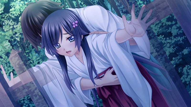 おとこみこ〜魔を鎮めるは麗しき男娘〜 ［PG EDITION］ （DVDPG）【2次元あうとれっと】 画像1