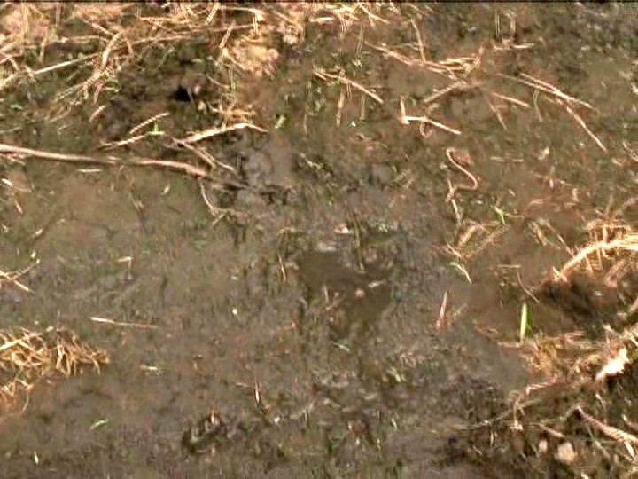 HKKA-006 第 7 部分 - 66 分钟