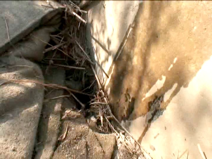 HKKA-013 第 12 部分 - 96 分钟