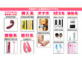 How to学園 観たら【絶対】SEXが上手くなる教科書AV 絶対中イキさせる最強玩具編 乙アリス - 17
