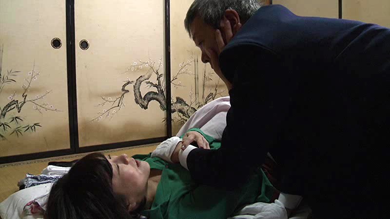 HQIS-009 第 15 部分 - 100 分钟