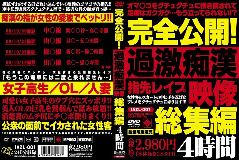 完全公開！過激痴漢映像総集編