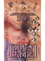 (ikf002)[IKF-002]潮吹き大図鑑 2 ダウンロード