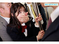 サンプル画像