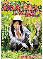 滋賀で稲を刈っていた美乳美尻のお母さんはスンゲェ淫乱！ 島津かおるのジャケット画像