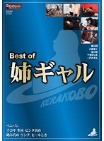 Best of 姉ギャルのジャケット表面画像