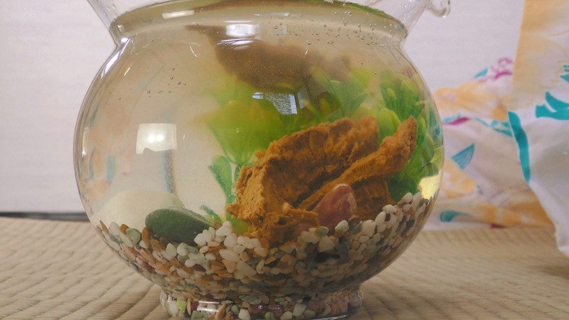 KBMS-069 パート 5 - 78 分