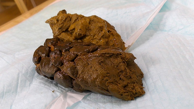 KBMS-098 Part 6 - 95 minutes