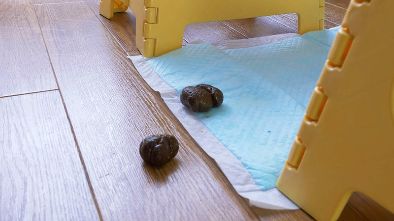 KBMS-117 Bagian 10 - 129 minit