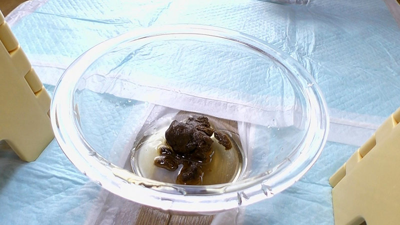 KBMS-123 Bagian 5 - 70 minit