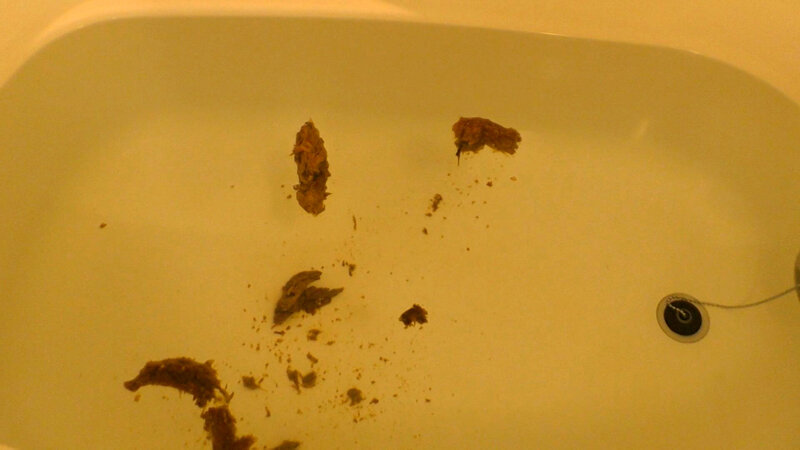 KBMS-130 Part 2 - 40 minutes