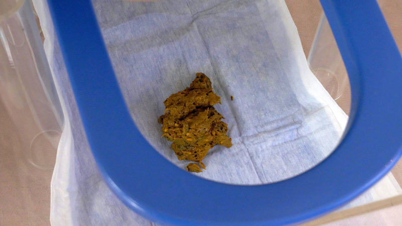 KBMS-142 第 9 部分 - 78 分钟