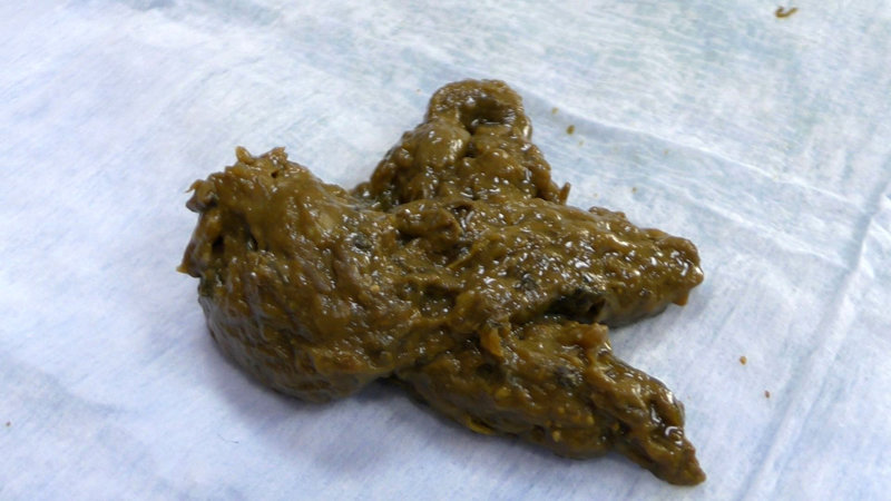 KBMS-143 パート 6 - 150 分