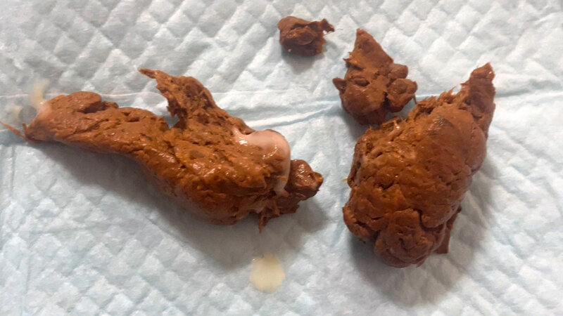 KBMS-167 パート 4 - 66 分