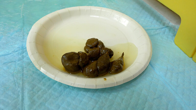 KBMS-168 Bagian 8 - 100 minit