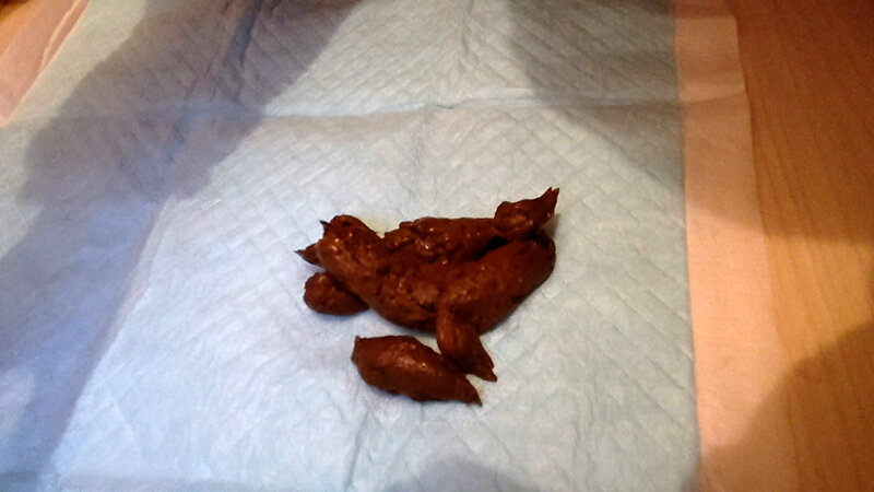 KBMS-186 Bagian 10 - 93 minit