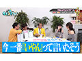 サンプル画像