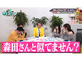 カチコチTV＃233 画像10