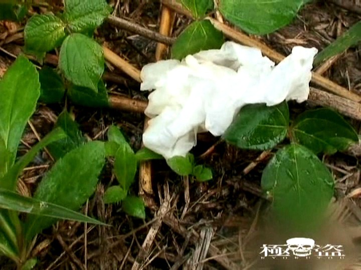 KTMC-008 Part 17 - 110 minutes